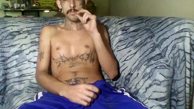 sellvageria online show from 02.08.26