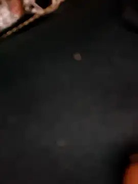 5g4ever online show from 03.25.26