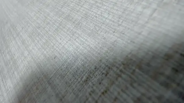 AishaRouhi online show from 03.31.26