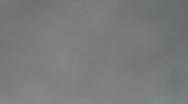 Snapshot of sllife chatting on 01.05.25 sllife online show from 01.05.25