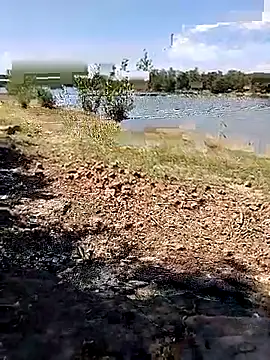 BaseDick online show from 09.24.25