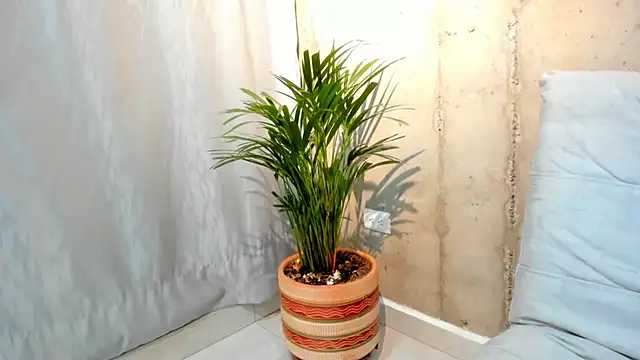 Alan greek 1 online show from 01.31.25