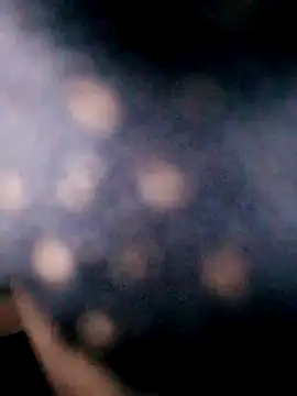 Hotpussy3ox online show from 09.18.25