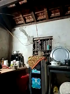 Hotpussy3ox online show from 03.02.26