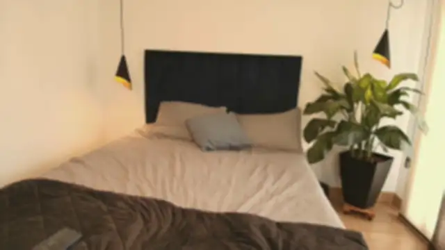 pansuggarofficial online show from 11.15.25