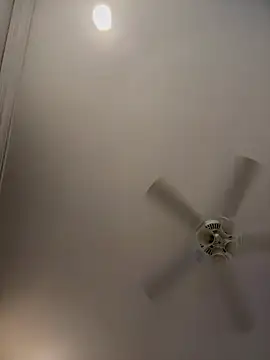 ThicBunz online show from 03.19.26