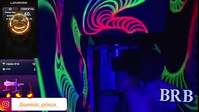 DominicPrince online show from 01.13.26