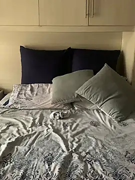 Snapshot of MluTheFixer chatting on 01.03.25 MluTheFixer online show from 01.03.25