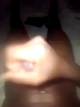 Snapshot of DigCrok chatting on 03.02.25 DigCrok online show from 03.02.25