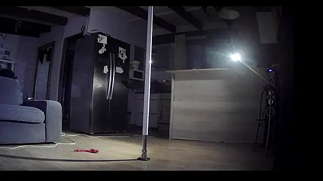 Snapshot of FLakiReve chatting on 02.03.26 FLakiReve online show from 02.03.26