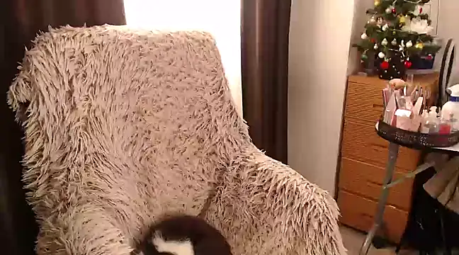 Snapshot of Goddessmxx chatting on 12.13.24 Goddessmxx online show from 12.13.24