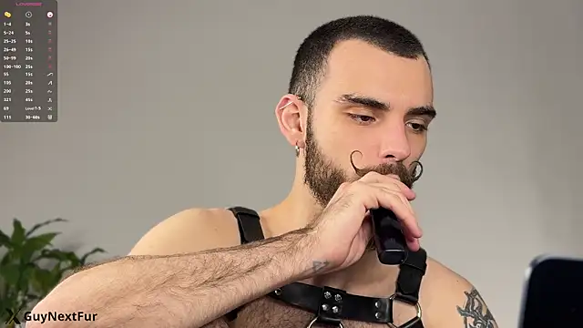 xteddy bear online show from 12.13.25