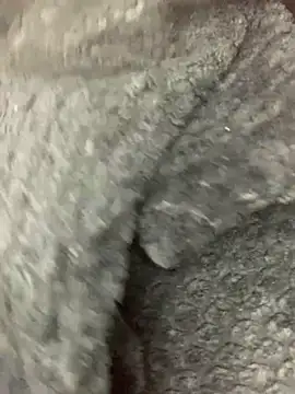 cardibabe online show from 10.05.25