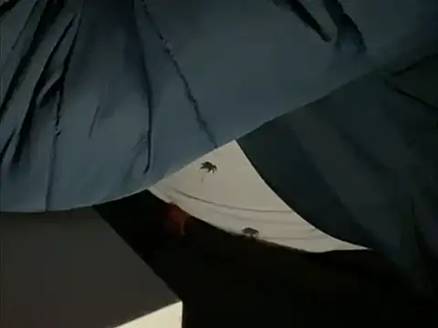 tomazu11 online show from 10.26.25