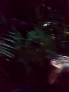 mis312 online show from 03.05.25