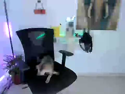 nairobbits online show from 10.09.25