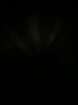 Sofiluisao online show from 03.08.26