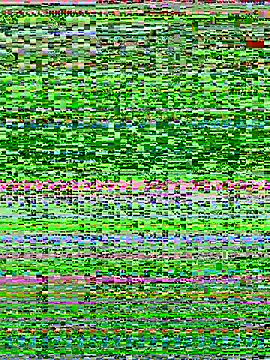 Snapshot of Bella_babei01 chatting on 01.11.26 Bella babei01 online show from 01.11.26