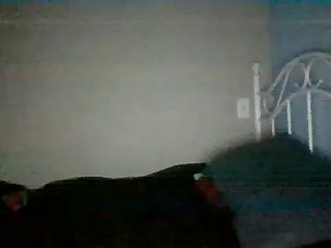 Snapshot of SmokingSloth chatting on 03.16.25 SmokingSloth online show from 03.16.25