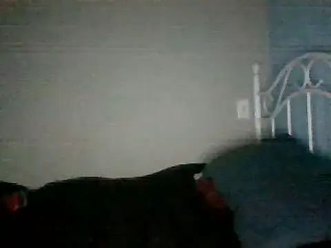 Snapshot of SmokingSloth chatting on 03.16.25 SmokingSloth online show from 03.16.25