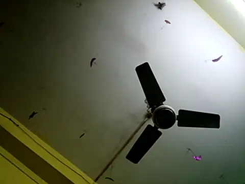 Sexyranibhabhi online show from 12.14.25