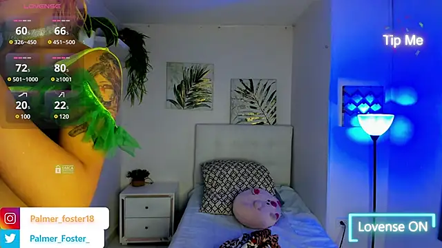 Palmer-Foster online show from 03.03.25