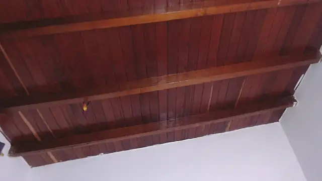 Amara Red online show from 09.13.25