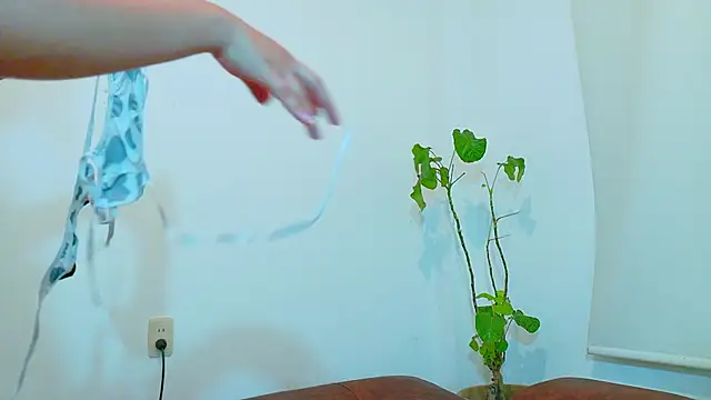 clydexxxbunny online show from 12.07.24