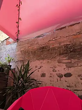 Snapshot of Fun_Everywhere chatting on 04.16.26 Fun Everywhere online show from 04.16.26