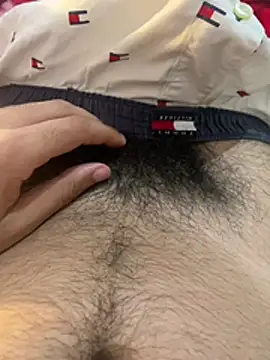 LaminarAerosol online show from 04.20.26