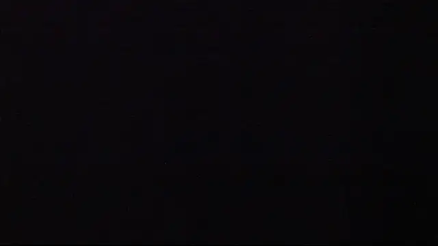 Snapshot of JANER_03 chatting on 01.26.25 JANER 03 online show from 01.26.25