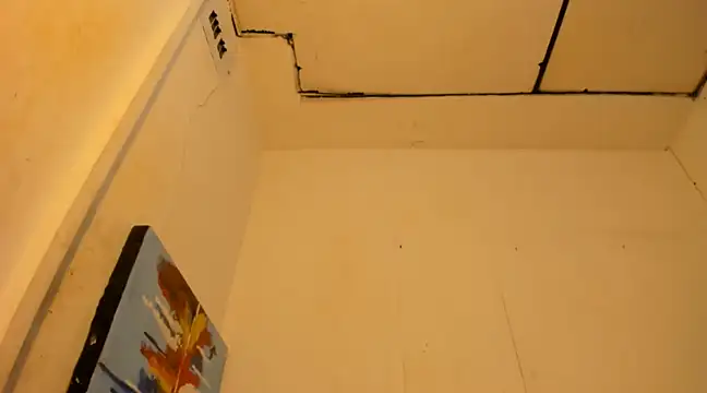 janestones online show from 01.12.25