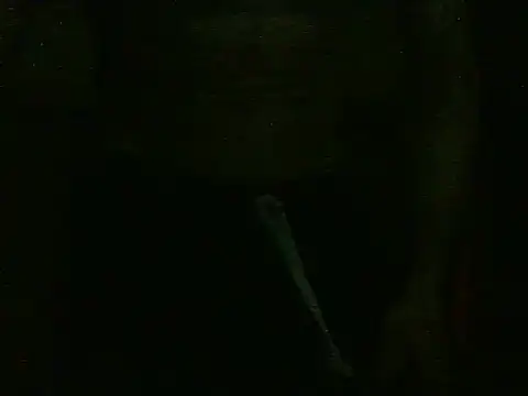 Snapshot of dangerman94 chatting on 10.22.25 dangerman94 online show from 10.22.25