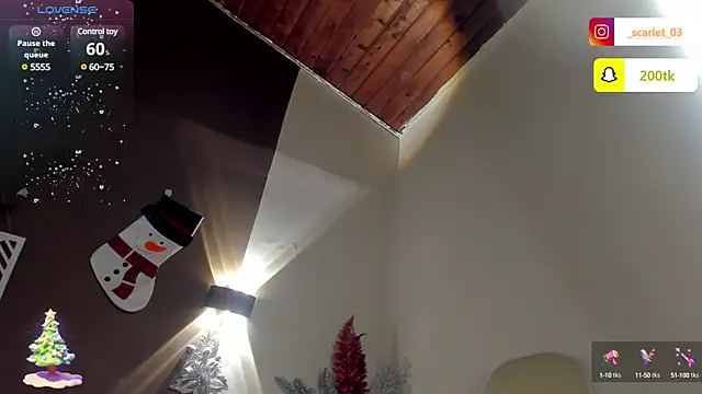 Snapshot of Scarlet_03 chatting on 12.16.24 Scarlet 03 online show from 12.16.24