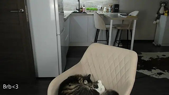 nilliluv online show from 03.19.26