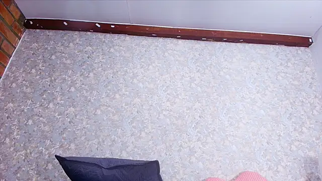 nicol f online show from 11.27.25