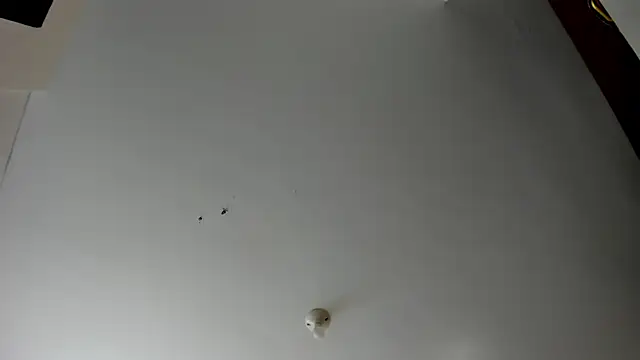 Snapshot of evely_coelloo chatting on 11.05.25 evely coelloo online show from 11.05.25