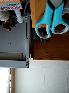 Snapshot of intx800 chatting on 03.09.25 intx800 online show from 03.09.25