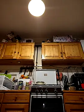 Snapshot of intx800 chatting on 03.21.25 intx800 online show from 03.21.25