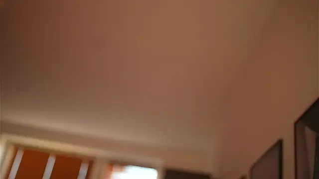 Bellis Perenis online show from 12.28.24