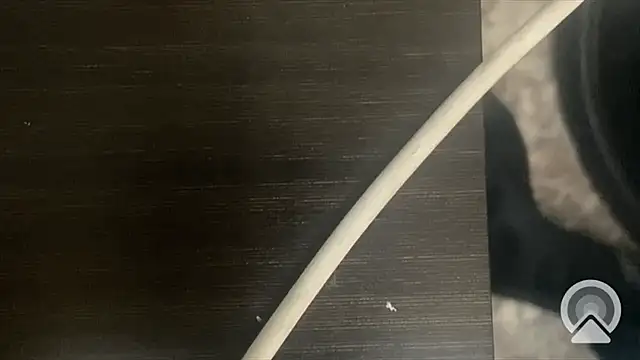 Snapshot of shuai321 chatting on 02.13.25 shuai321 online show from 02.13.25