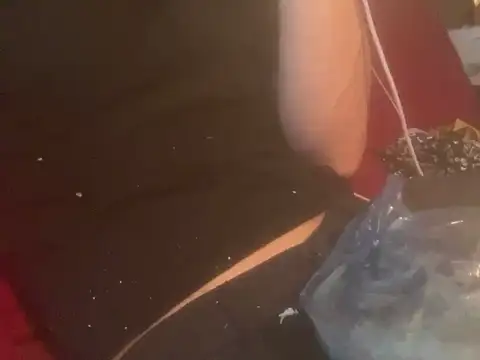 skatebored online show from 01.26.25