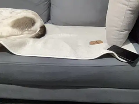 4small4inchlol online show from 03.15.25