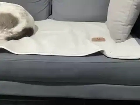 4small4inchlol online show from 03.19.25