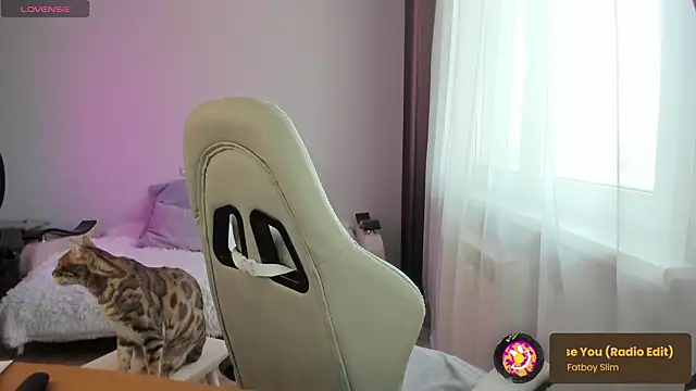 ms allison w online show from 02.28.25