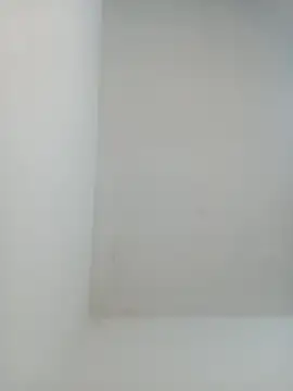 Snapshot of igor_miller20 chatting on 02.01.25 igor miller20 online show from 02.01.25