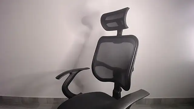 Snapshot of present_the_magic chatting on 01.19.25 present the magic online show from 01.19.25