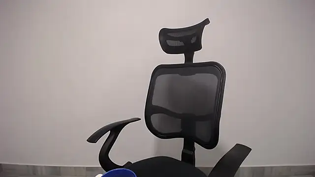 Snapshot of present_the_magic chatting on 02.04.25 present the magic online show from 02.04.25