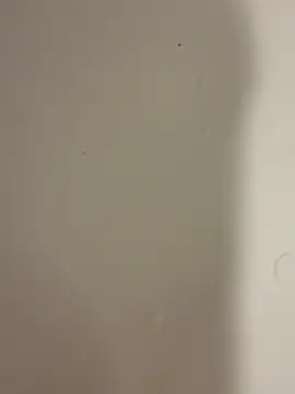 Snapshot of Serkan3356 chatting on 02.09.26 Serkan3356 online show from 02.09.26