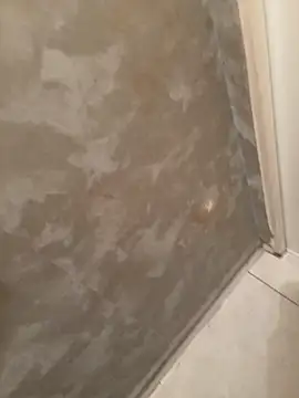 voliv34 online show from 02.13.26